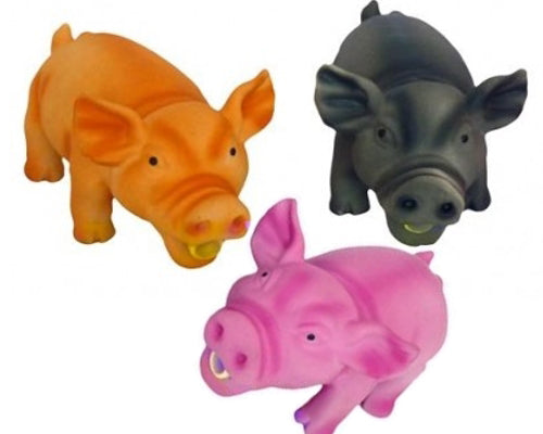 Gioco latex maialini grugniti
