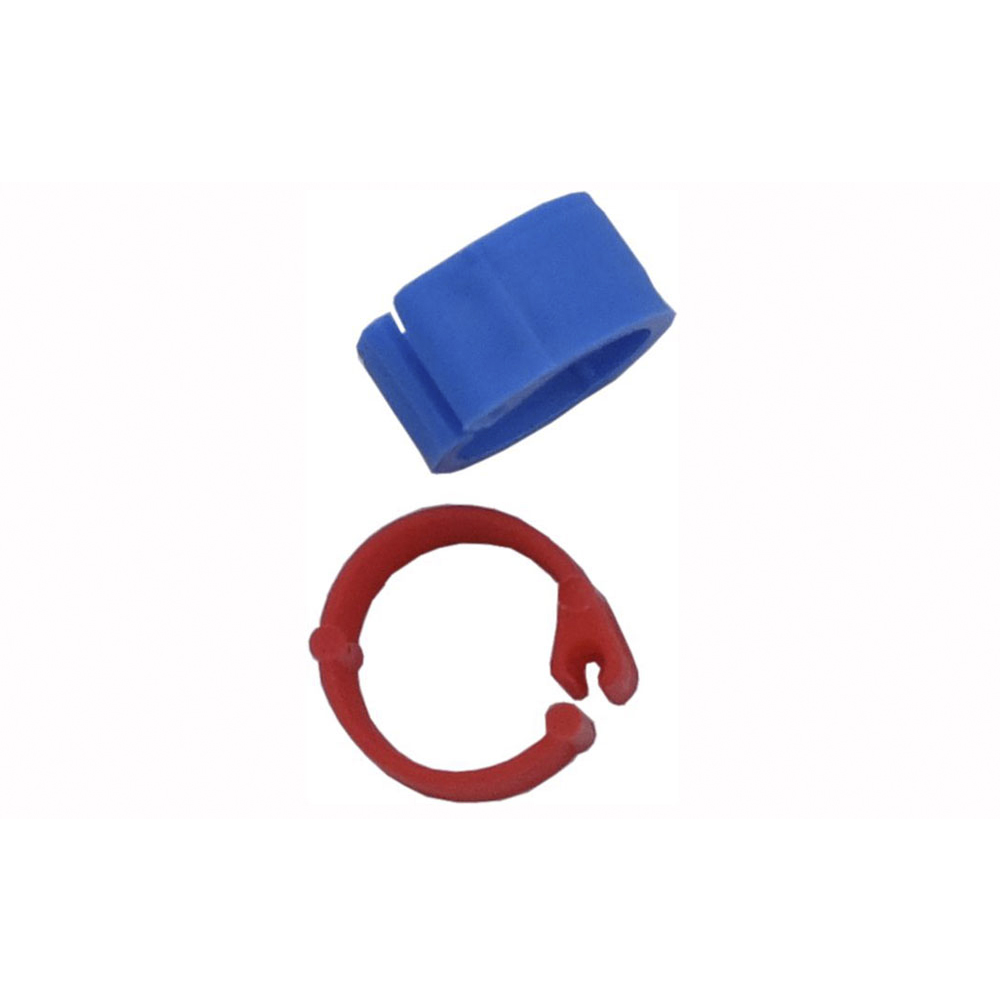 Anelli in plastica clic per colombi