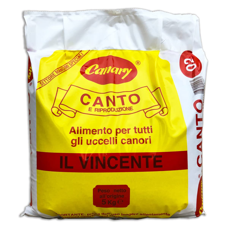 Canary Mangime Canto e Riproduzione