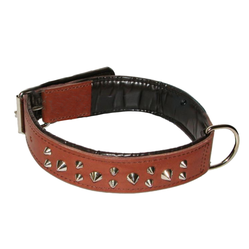 Collare in Cuoio con fodera con borchiee
