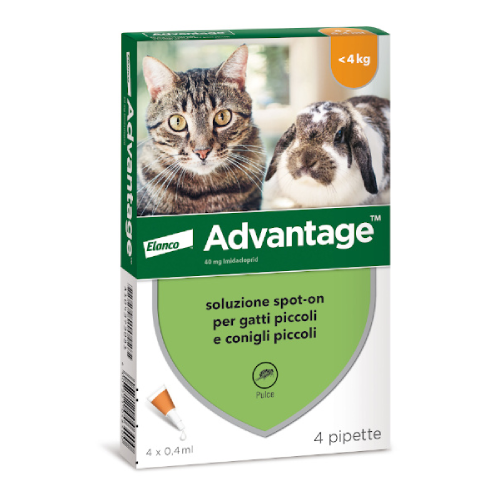 Elanco Advantage Spot-on per gatti fino a 4 kg
