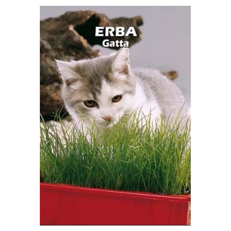 Erbagatta Semi Busta Piccola