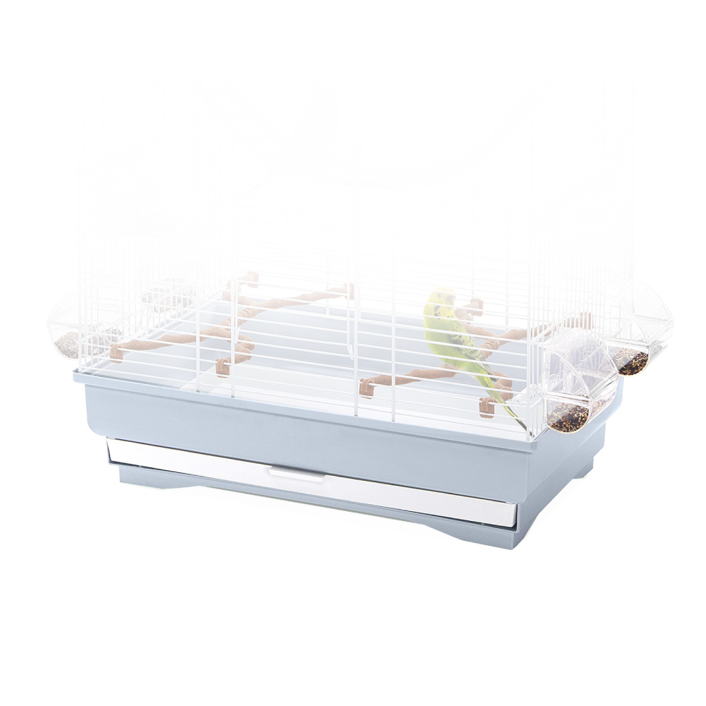 Fondo gabbia Irene 3 / Asia / Fiona