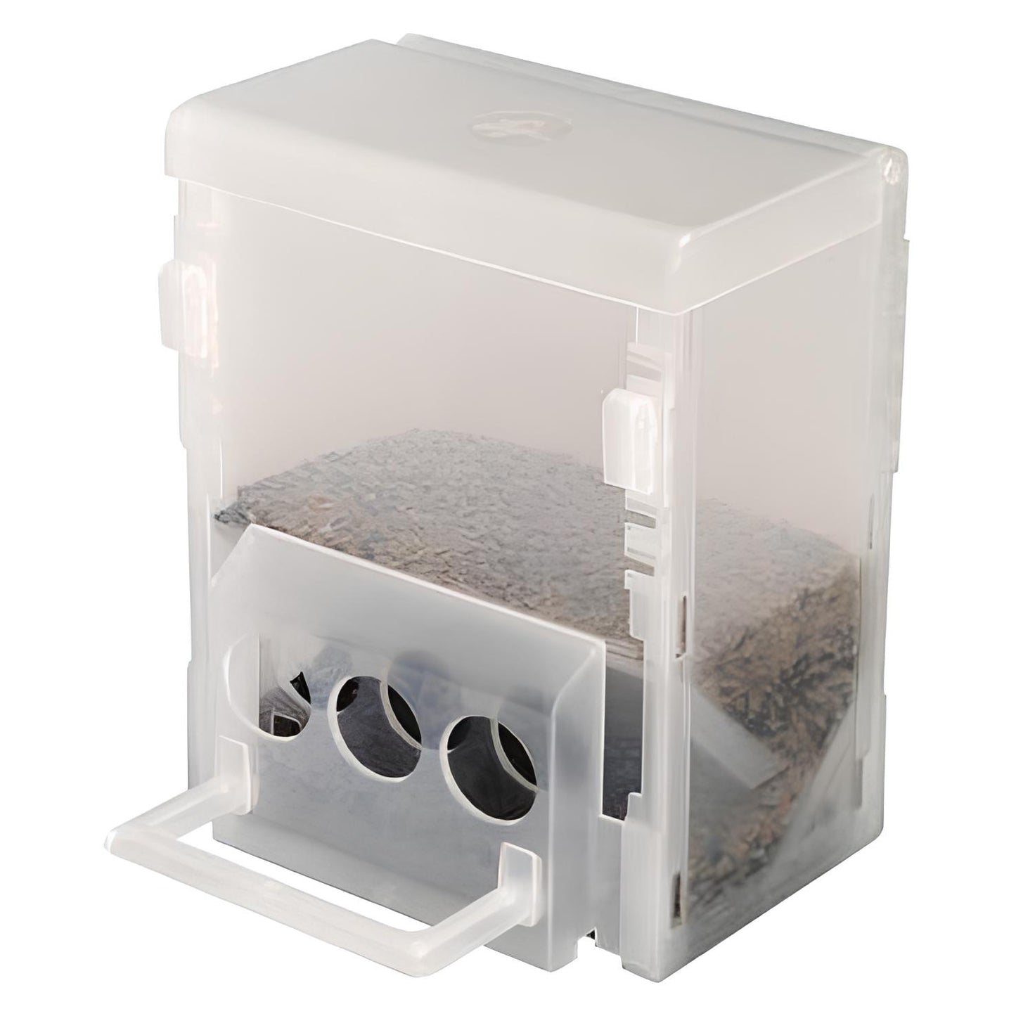 Mangiatoia Economy plus