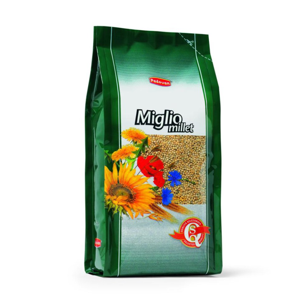 Padovan Miglio Giallo