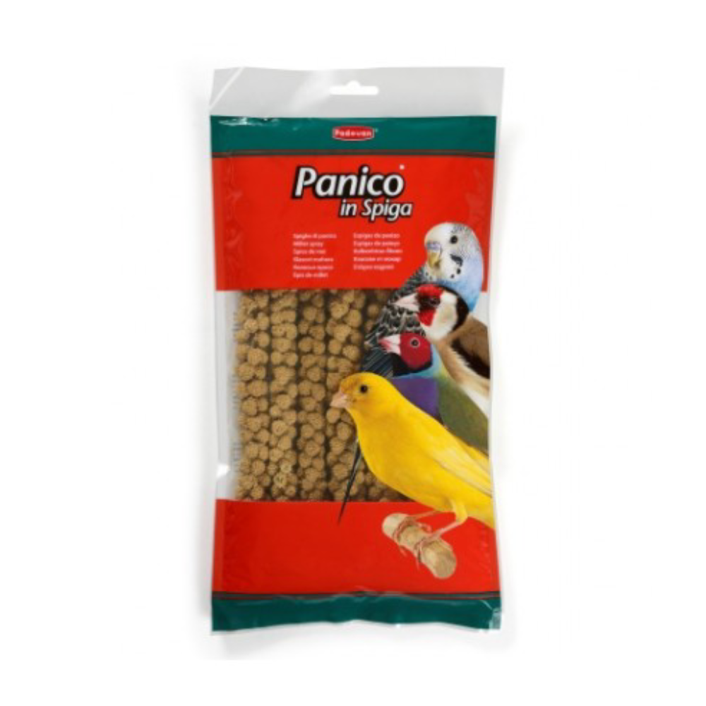 Padovan Spighe di Panico