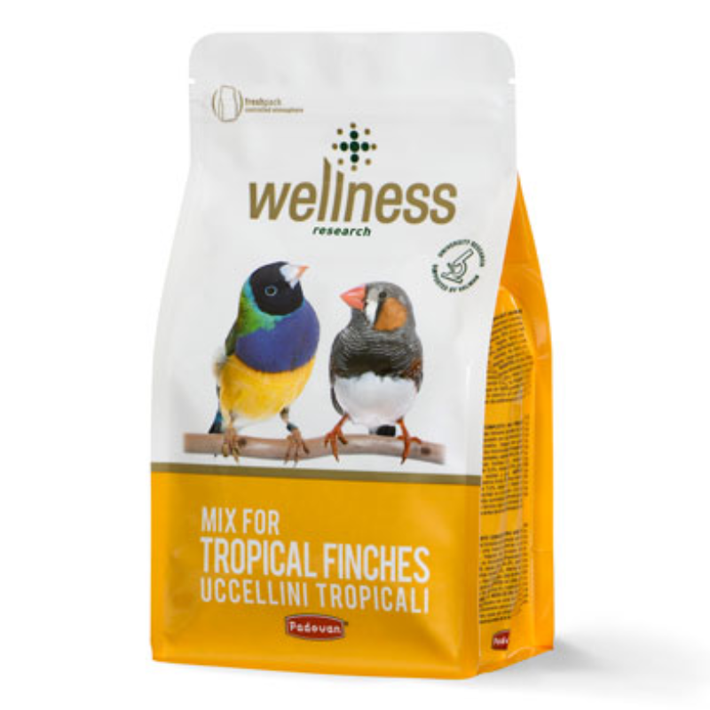 Padovan Wellness Tropicali