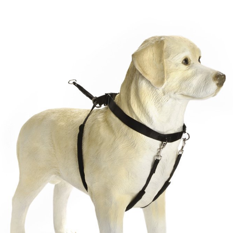 Pettorina Nylon Black