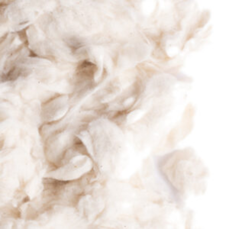 Sisal Fibre Cotone per Roditori