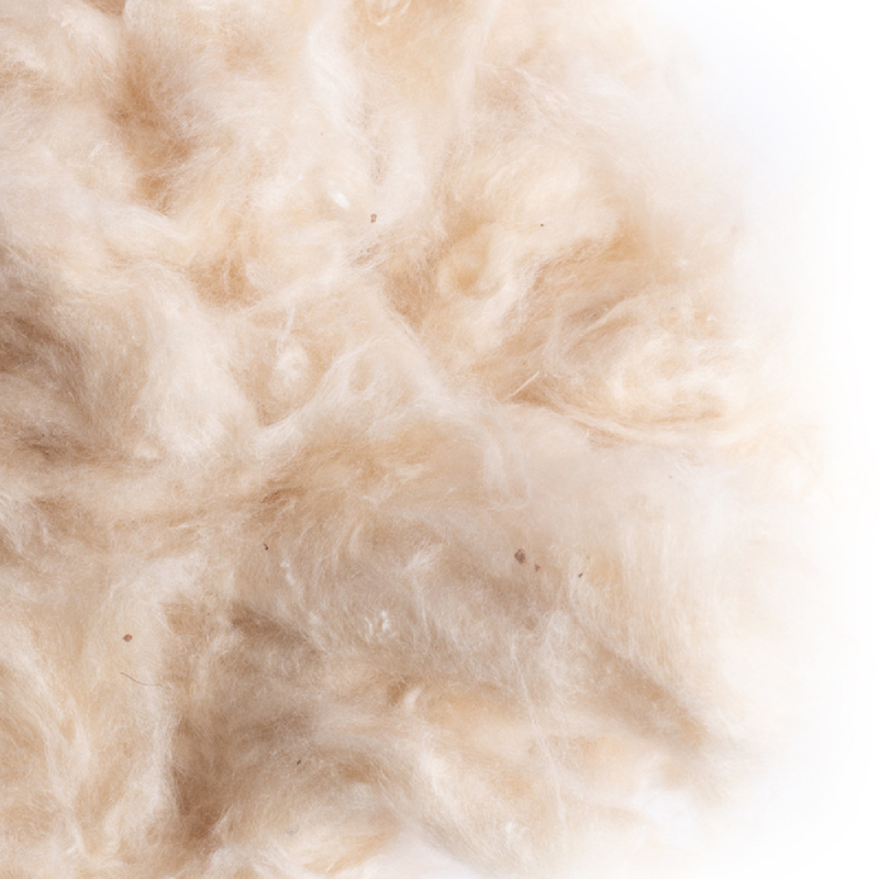 Sisal Fibre Kepok per Roditori