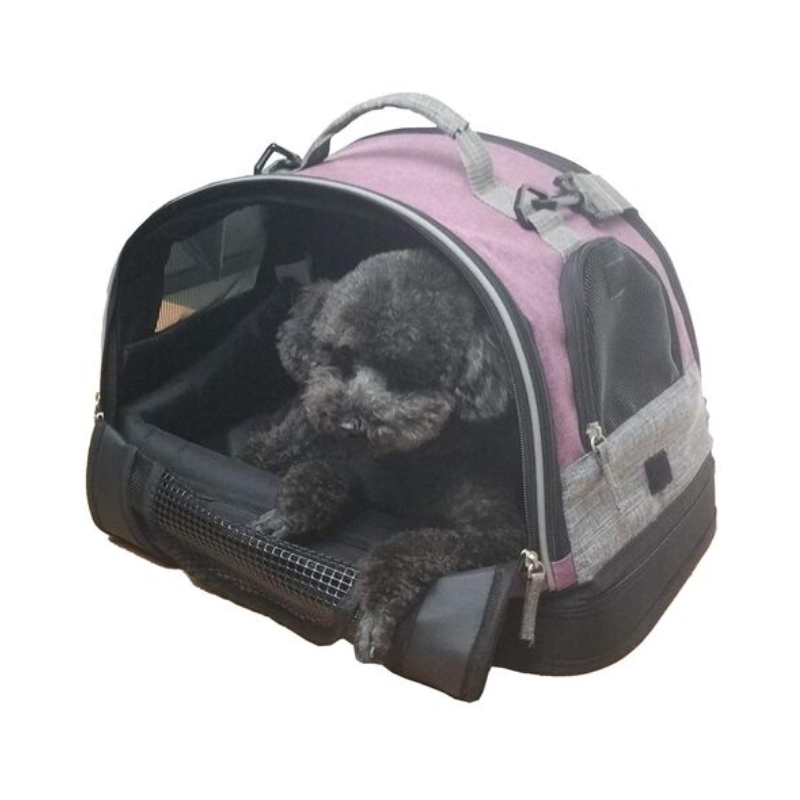 Transformer 2 in 1 Borneo