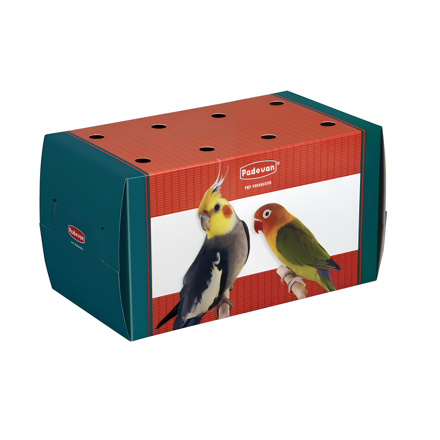 Trasportino in cartone grande