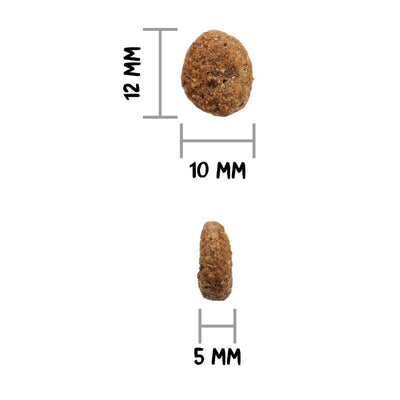 Ownat G.F. Hypoallergenic Mini Lamb Dog
