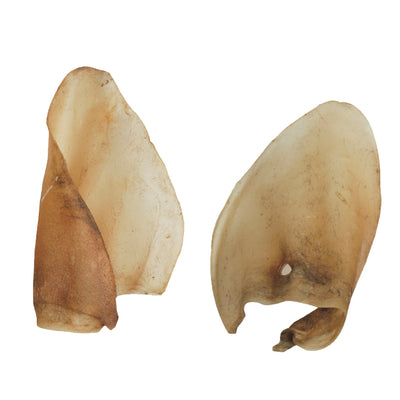 Orecchio Bovino