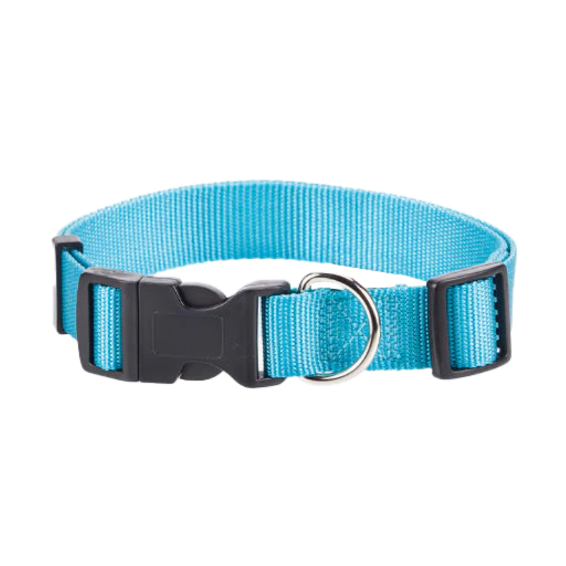 Collare Nylon Regolabile Celeste