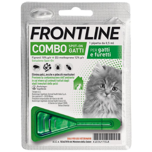 Frontline Combo Gattino