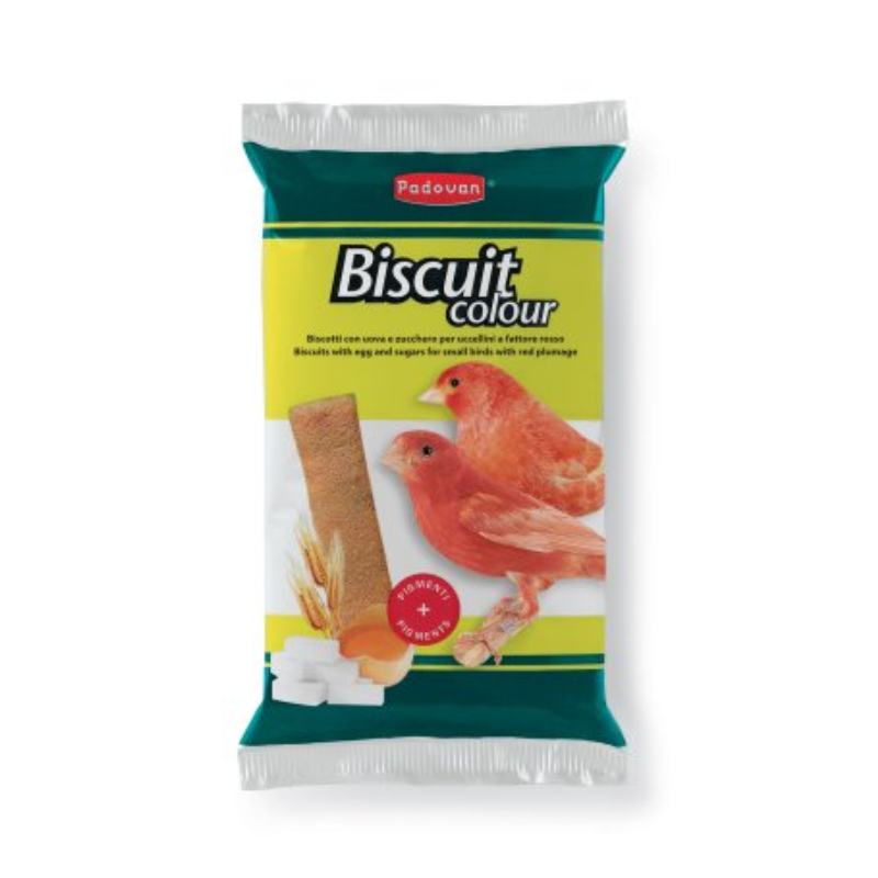 Padovan Biscuit Colour