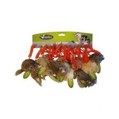 Papillon Topi su spirale Colori assortiti