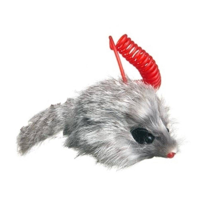 Papillon Topi su spirale Colori assortiti